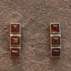 Pendientes de Plata con Ámbar