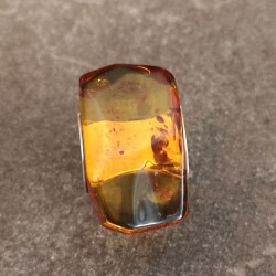 Anillo de Plata con Ámbar