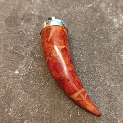 Colgante de Plata con Coral