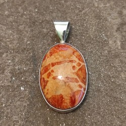 Colgante de Plata con Coral