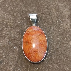 Colgante de Plata con Coral