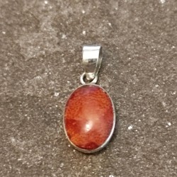 Colgante de Plata con Coral