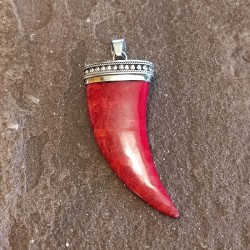 Colgante de Plata con Coral