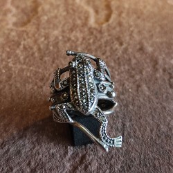 Anillo de Plata con...