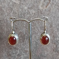 Pendientes de Plata con...