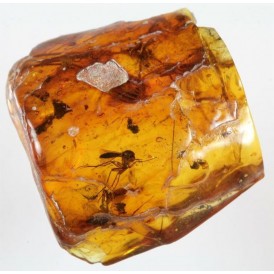 Ambar, montado en plata